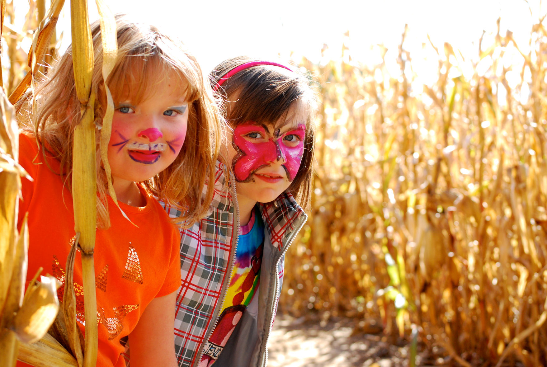 Skinny Bones Pumpkin Patch and Corn Maze